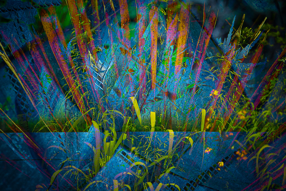 10. New Dawn