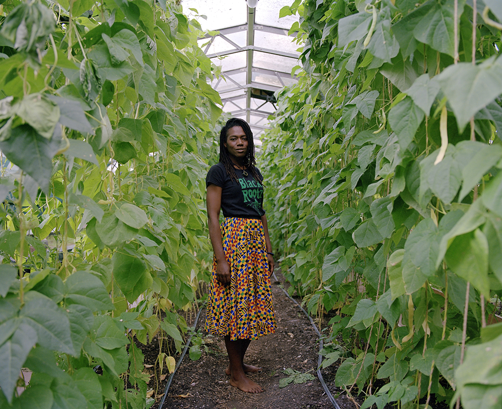 © Arpita Shah, Pam, Black Rootz, Wolves Lane