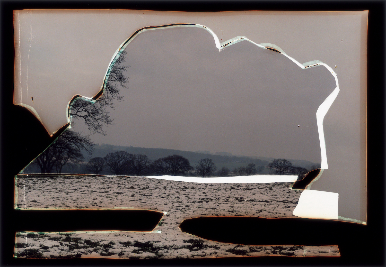 Dafna Talmor